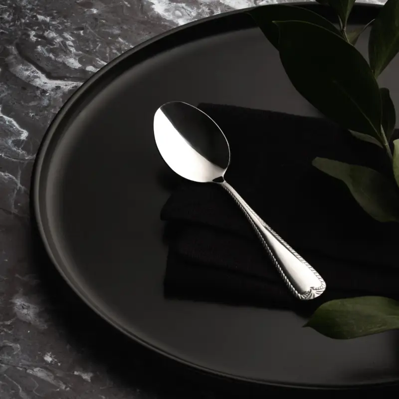 SATOSHI Эвора Ложка чайная 6 пр. на блистере