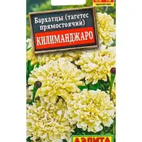 Семена цветов Бархатцы Килиманджаро прямостоячие , Ц/П,0,05 г Семена цветов Бархатцы Килиманджаро прямостоячие , Ц/П,0,05 г