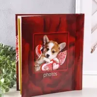 Фотоальбом 30 магнитных листов 23X28см, "Собака", пер-т внутр.спираль МИКС Фотоальбом 30 магнитных листов 23X28см, "Собака", пер-т внутр.спираль МИКС