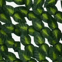 Ограждение декоративное &laquo;Листья берёзы&raquo;, 300&times;100 см, Greengo
