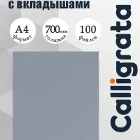 Папка с 100 вкладышами А4, 700 мкм, Calligrata, текстура &laquo;песок&raquo;, корешок 40 мм, серая