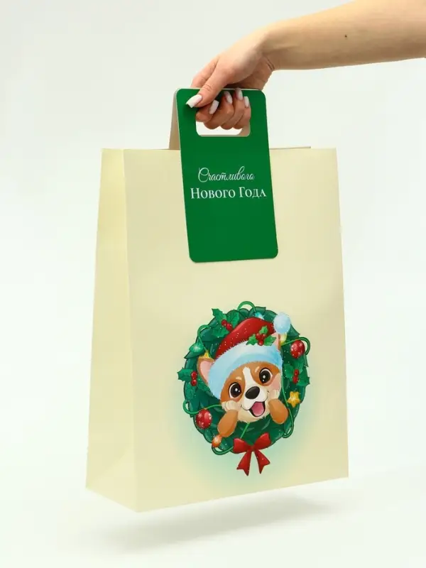 Пакет подарочный с вырубной ручкой «Новогодний корги» 30×40×12 см, зеленый Пакет подарочный с вырубной ручкой «Новогодний корги» 30×40×12 см, зеленый