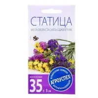 Набор семян Статица Мечта флориста, смесь, О, 5 шт.