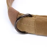 Ошейник с мягкой подкладкой, 59&times;4 см, ОШ 35-45 см, песочный