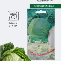 Семена Капуста белокочанная &laquo;Краутман&raquo;, F1, 11 шт., &laquo;Дом семян&raquo;