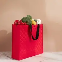 VETTA Сумка хозяйственная трехслойная, 34х40х12,5см, 17л, до 10кг, полиэстер, красная