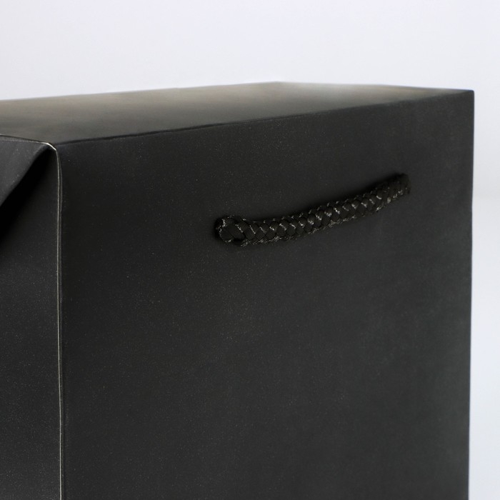 Пакет—коробка «Чёрный», 28×20×13 см Пакет—коробка «Чёрный», 28×20×13 см