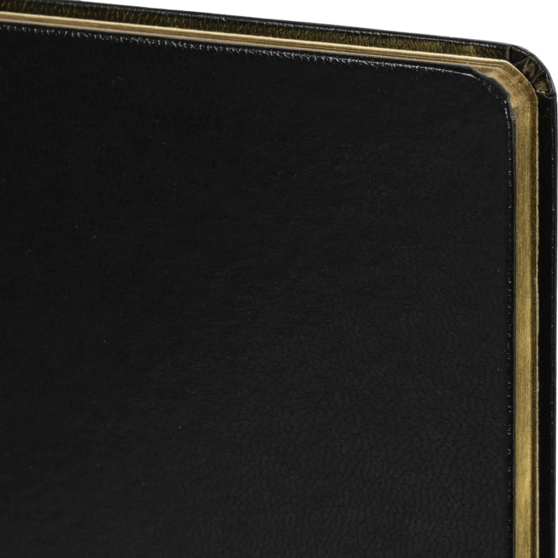 Ежедневник недатированный черный MEGAPOLIS А5,142х214мм,160л.з обр 3-281/10