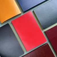 Ежедневник недатированный А5 MEGAPOLIS NEBRASKA FLEX борд/зол.обр 3-692/01