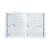 Тренажер по чистописанию. Русский язык, 2 класс, Субботина Е.А. 2025