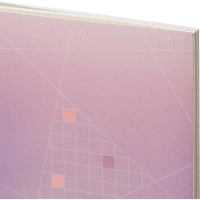 Тетрадь общая А5,48л,кл,скоб,офсет-2 Ice фиолет/красная