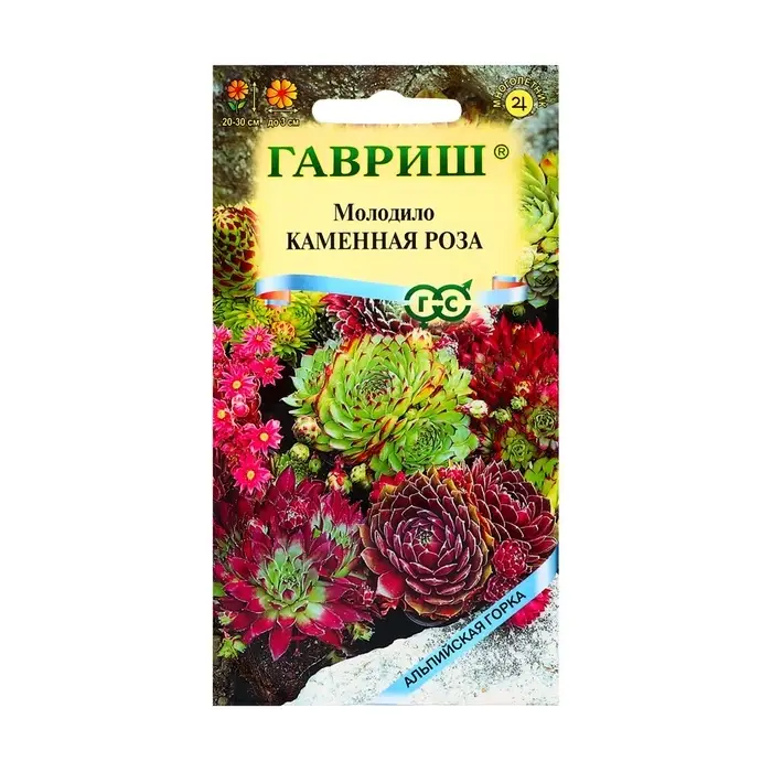 Семена цветов Молодило &laquo;Каменная Роза&raquo;, 0.01 г, &laquo;Гавриш&raquo;