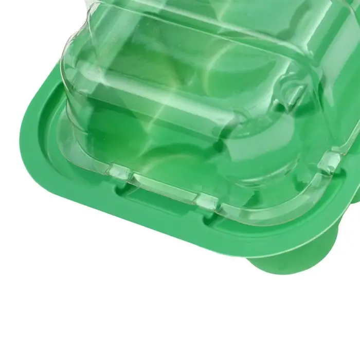 Мини-парник для рассады, 24×12×11 см, 11 ячеек под таблетки для рассады d=3 см, пластик, Greengo