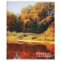Комплект тетрадей, 48 листов в клетку, Calligrata &laquo;Времена года&raquo;, серые листы, 4 штуки