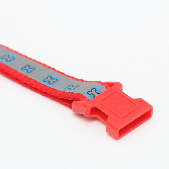 Ошейник Ошейник "Кость" светоотражающий, 31 х 1 см, красный