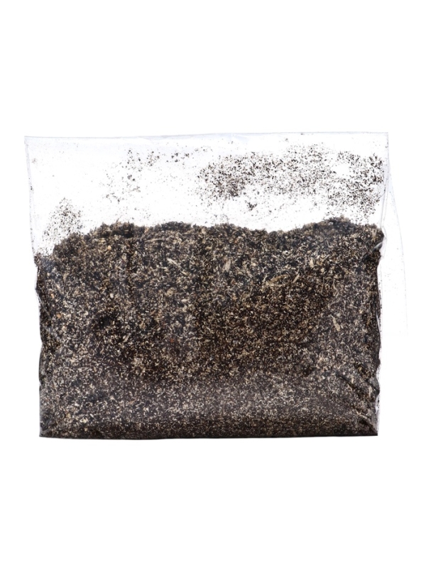 Хоста "Blue Mouse Ears", р-р I, размер S,1 шт, Весна 2025, ЭКОНОМ,