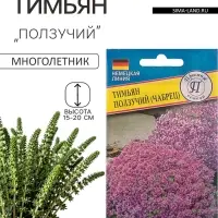 Семена Тимьян ползучий, чабрец, 0.05 г, &laquo;Престиж семена&raquo;