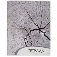 Тетрадь 96 листов в клетку, Calligrata &laquo;Текстура 2&raquo;, МИКС