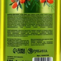 Шампунь для волос, витаминный эликсир, аромат облепихи, 400 мл, Рябина