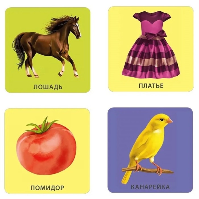 Обучающие карточки «Начинаю говорить. Мои первые слова и картинки», 50 карточек Обучающие карточки «Начинаю говорить. Мои первые слова и картинки», 50 карточек