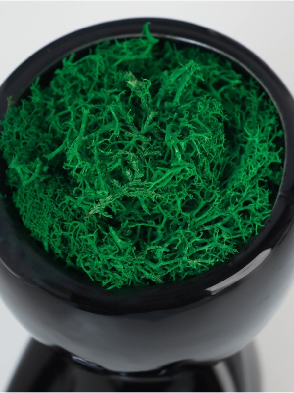 Кашпо керамика  Кашпо керамика "Мистер Грин" любитель тишины 11,5*10*9 см черный