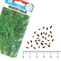 Семена Укроп "Мамонтовый", 1 г
