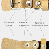 Ошейник, 35&times;1.5 см, с подкладом и светоотражающей лентой, кожа, бежевый