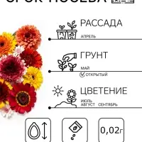 Семена Цветов Хризантема многолетняя &laquo;Смесь окрасок&raquo;, крупноцветковая, 0.02 г, &laquo;Урожай удачи&raquo;