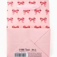 Пакет ламинированный Present, 9 &times; 12 &times; 6,5 см