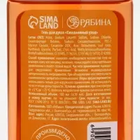 URAL LAB Арома Саунд Набор два геля для душа, 2х100 и мочалка для тела, мандарин и тыква