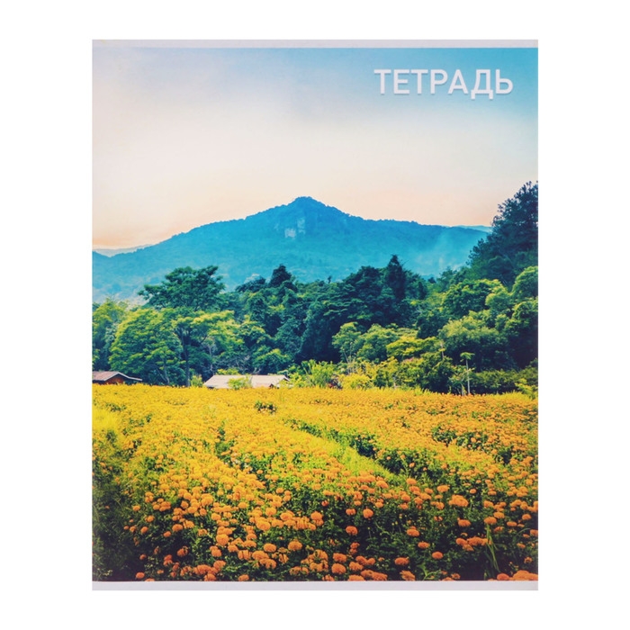 Комплект тетрадей из 4 штук, 96 листов в клетку Calligrata Комплект тетрадей из 4 штук, 96 листов в клетку Calligrata "Природа", обложка мелованный картон, блок №2, белизна 75% (серые листы)