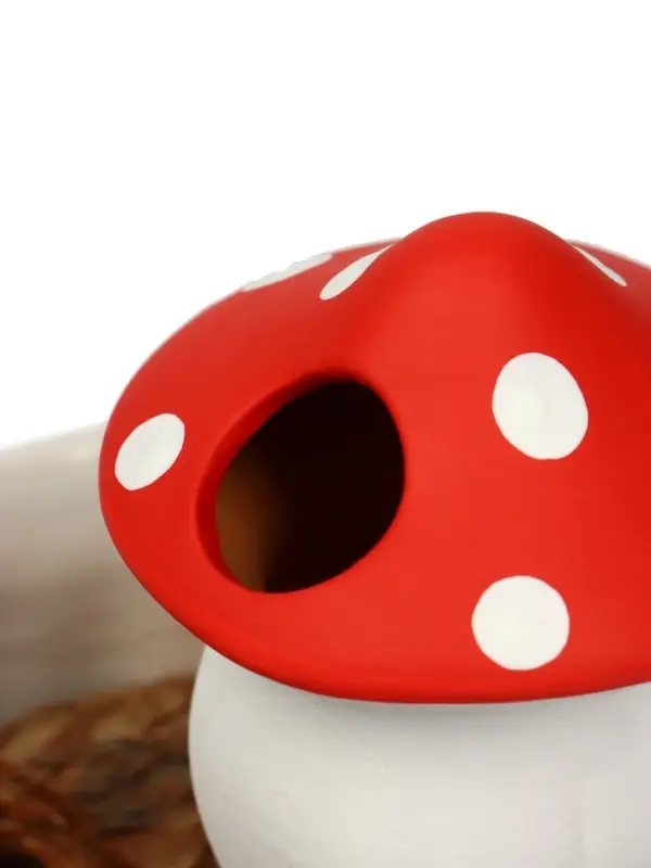 Автополив для комнатных растений &laquo;Грибочек&raquo;, 16.5&times;7 см, керамика, набор 4 шт., МИКС