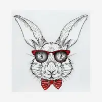 Термонаклейка &laquo;Заяц&raquo;, 17&times;17.5 см