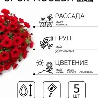 Семена цветов Петуния &laquo;Вейв Кармин Велюр&raquo;, F1, 5 шт.