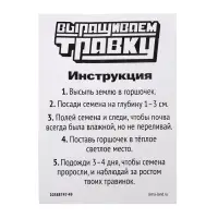 Набор для опытов, для детей &laquo;Выращиваем травку&raquo;, растение в горшочке - эмодзи &laquo;Милый&raquo;