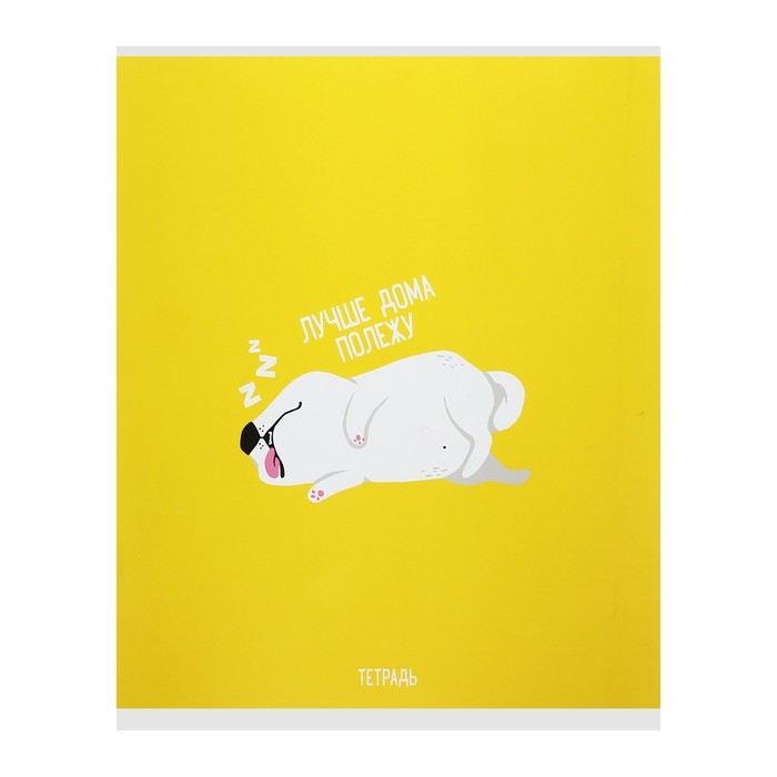 Тетрадь 48 листов в клетку Calligrata "Хорошо быть собакой", обложка мелованный картон, блок офсет, МИКС