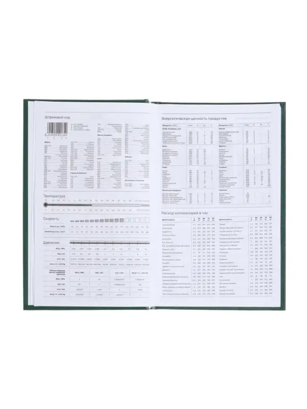 Ежедневник недатир А5 160л бумвинил, зеленый