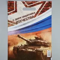 Пакет подарочный &laquo;С Днём Защитника Отечества&raquo;, полиэтиленовый с вырубной ручкой, 30&times;40 см, 50 мкм