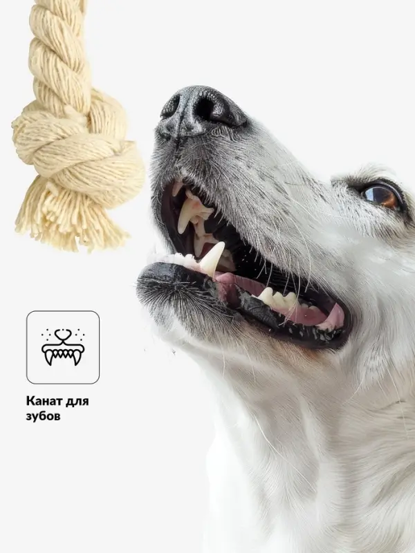 Игрушка для собак &laquo;Обугленная сосиска на верёвке&raquo;, 14 см, чёрная