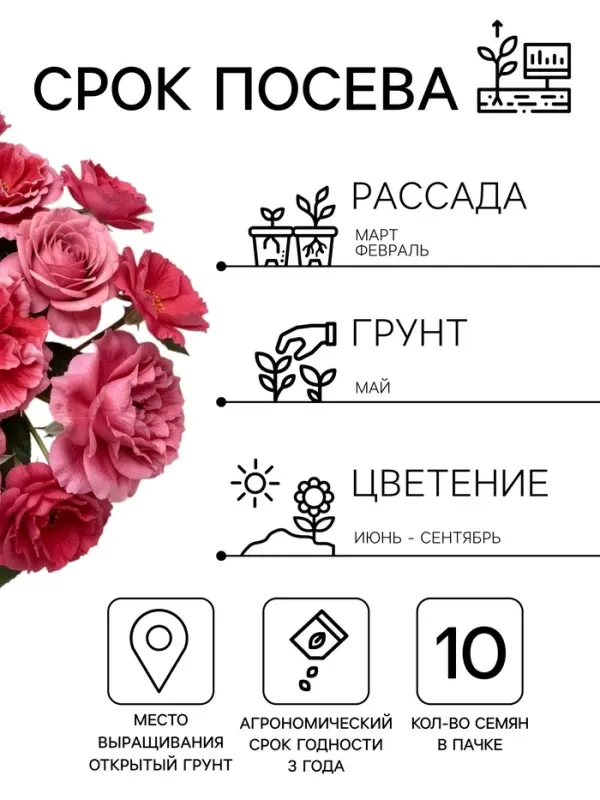 Семена цветов Петуния &laquo;Пируэт пурпурная&raquo; F1, махровая, 10 шт.