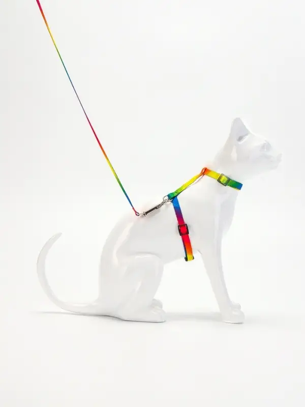 Комплект для кошек &laquo;Радуга&raquo;, ОШ 16.5-27, ОГ 21-35 см, ширина 1 см, поводок 120 см