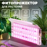 Фитопрожектор для растений Luazon Lighting СДО09-100, светодиодный, 100 Вт, IP65, 220 В, бескорпусный, мультиспектральный