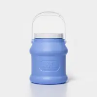 Бидон Martika &laquo;Просперо&raquo;, 3 л, пластик, фиолетовый