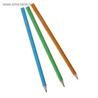 Карандаши цветные 24 ZOO, пластиковые, шестигранные