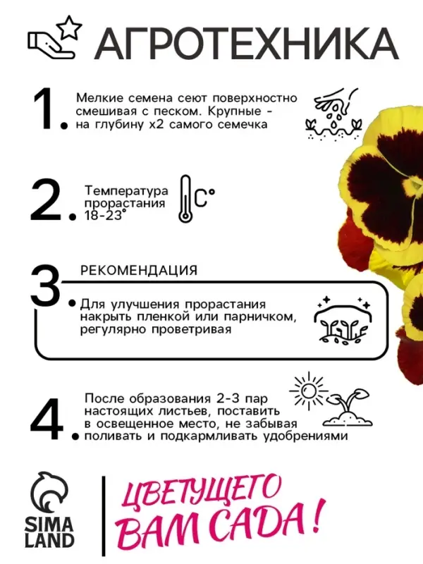 Семена Виола "Майя Виттрока", ц/п,  0,05 г