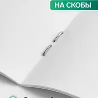 Альбом для рисования Calligrata &laquo;Динозавр&raquo; А4, 32 листа на скрепке, обложка мелованный картон, блок 100 г/м&sup2;