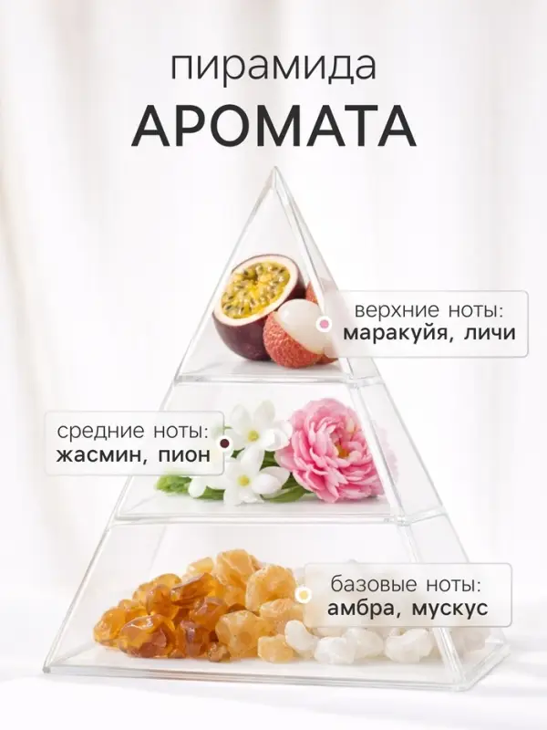 Диффузор ароматический с палочками XO The Cynosure, 200 мл
