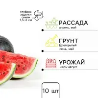 Семена Арбуз &laquo;Ультраранний&raquo;, 10 шт., скороспелый, &laquo;Сибирский сад&raquo;