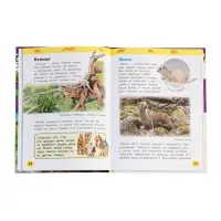 Детская энциклопедия &laquo;Дикие животные&raquo;, 48 стр.