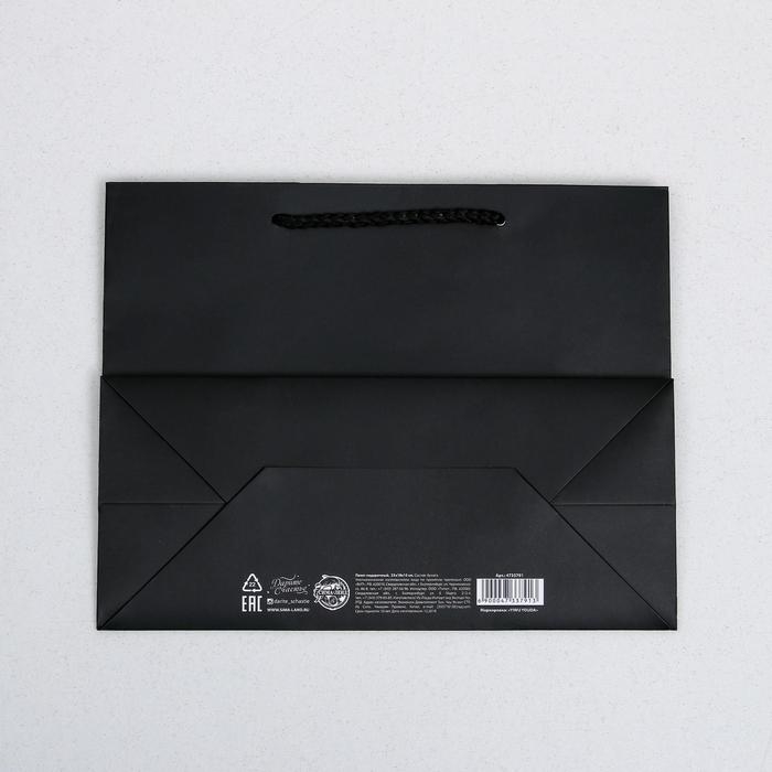 Пакет подарочный ламинированный горизонтальный, упаковка, Hobby, MS 23 х 18 х 10 см Пакет подарочный ламинированный горизонтальный, упаковка, Hobby, MS 23 х 18 х 10 см